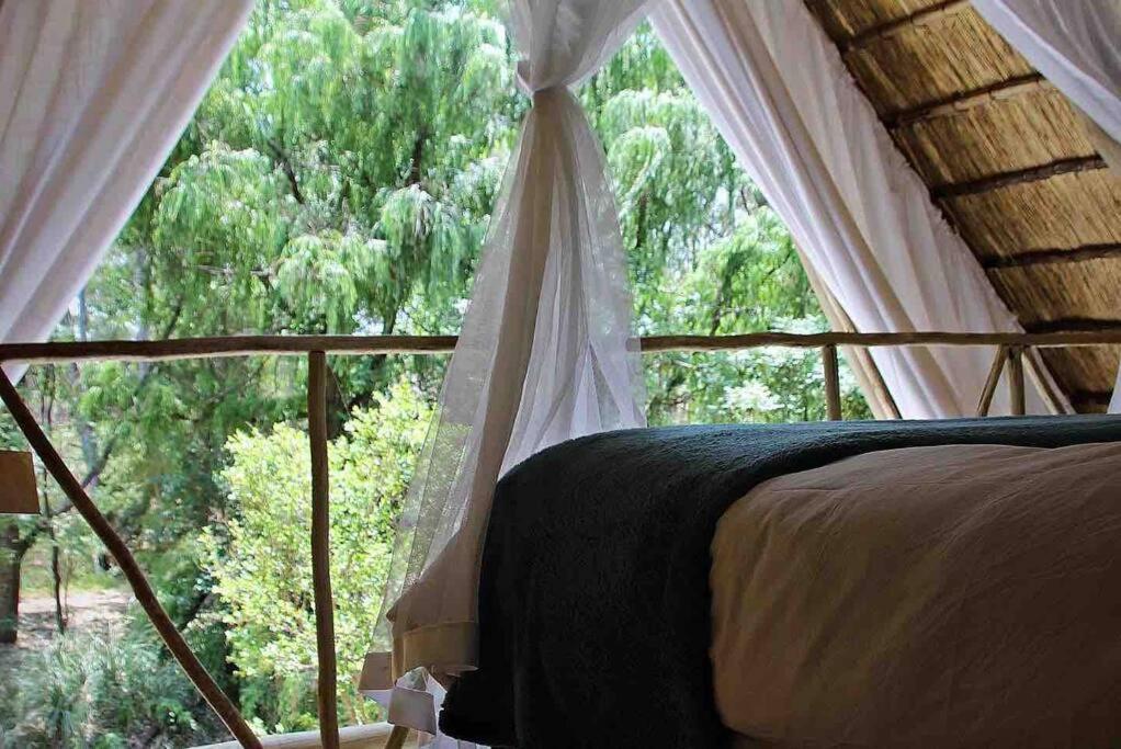 Hot Spring Bungalow In Limpopo Gemsbokfontein Exteriör bild