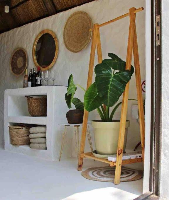 Hot Spring Bungalow In Limpopo Gemsbokfontein Exteriör bild