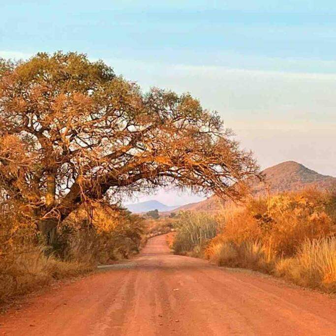 Hot Spring Bungalow In Limpopo Gemsbokfontein Exteriör bild