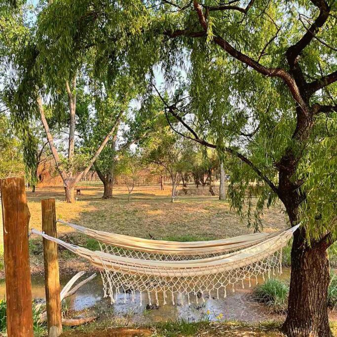 Hot Spring Bungalow In Limpopo Gemsbokfontein Exteriör bild